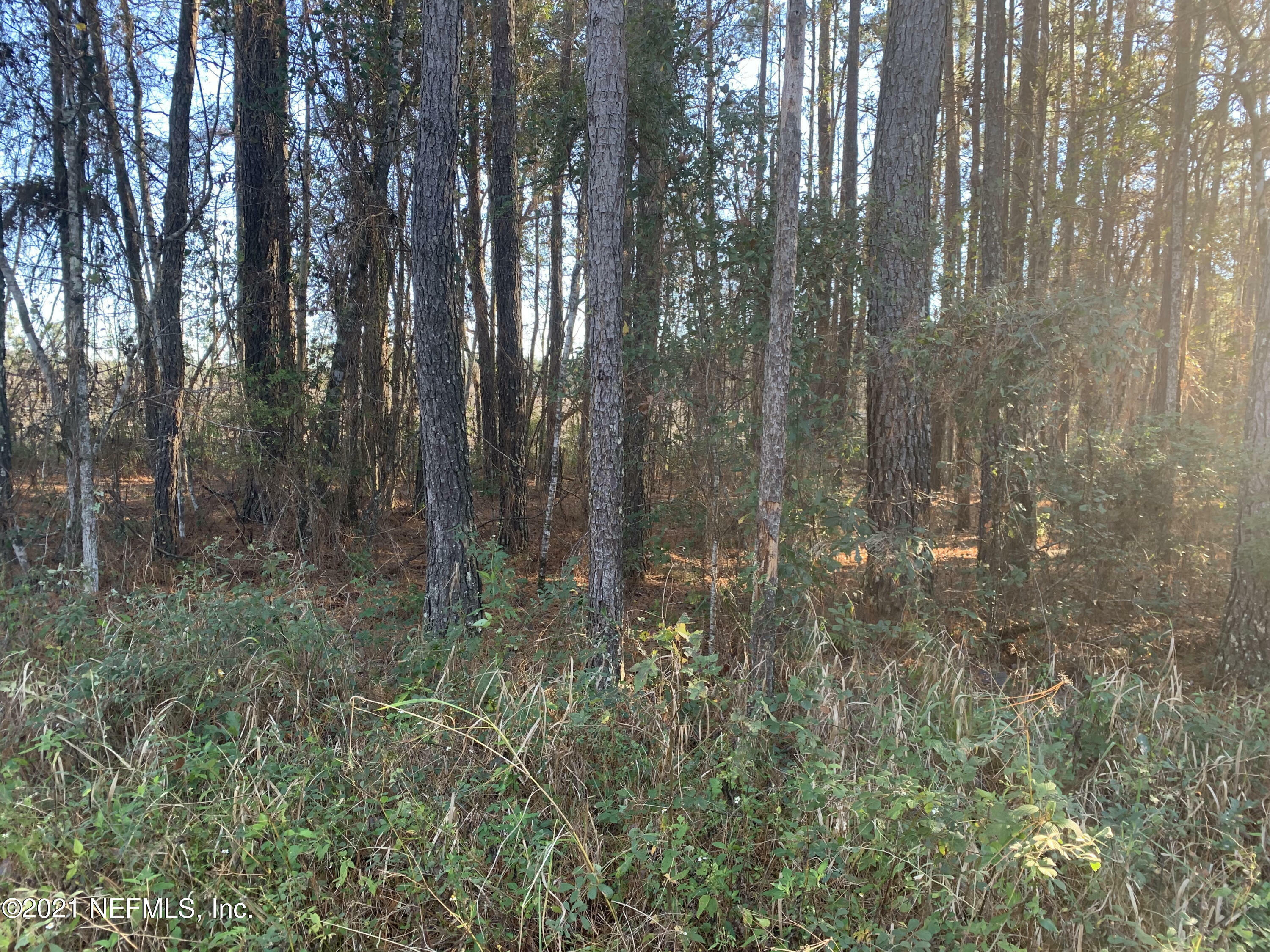 Property Photo:  Tract 2 Tracy Road  FL 32046 