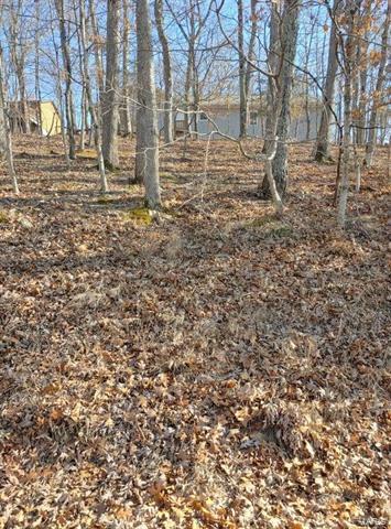 Property Photo: 1335 Robinhood MO 63357