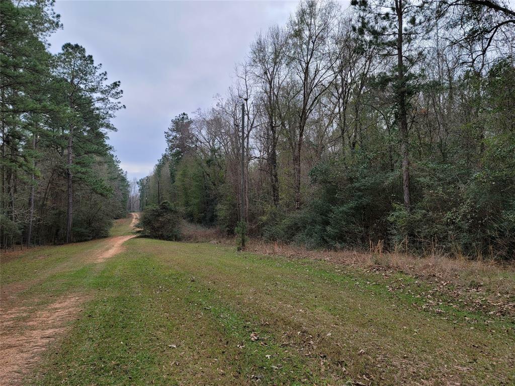 Property Photo: Tr 64.4 Hostetter Spur TX 77358