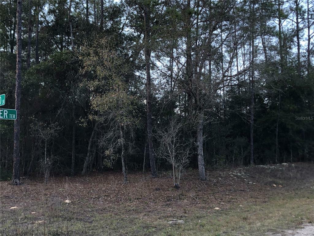 Property Photo:  381 E Finland Lane  FL 34434 