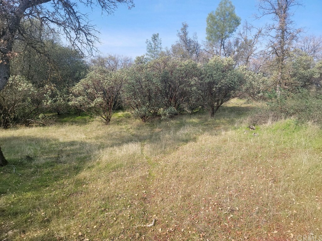 Property Photo:  0 2.8 Ac Gold Nugget Court  CA 93614 