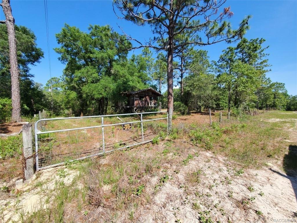 4914 N Windy Gap Point  Crystal River FL 34428 photo