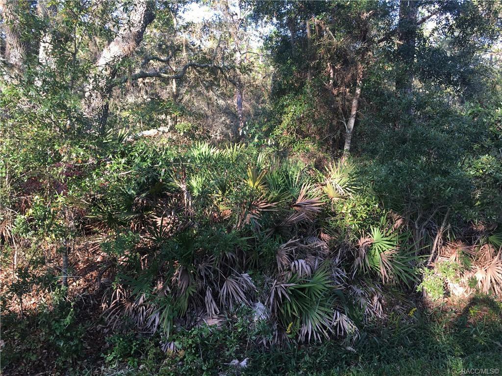 Property Photo:  9092 N Bonsai Avenue  FL 34428 