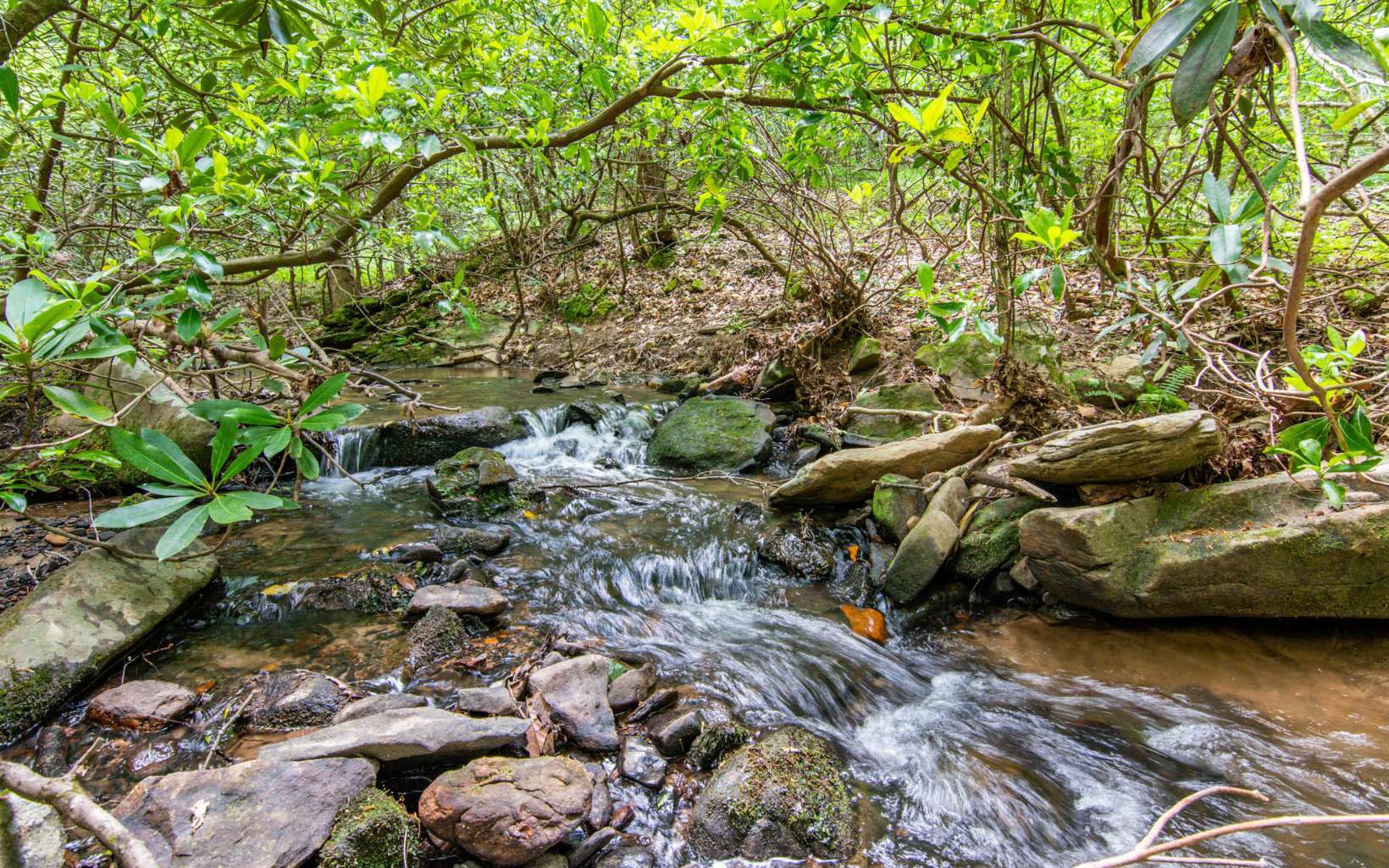 Property Photo:  Lot 2 Owltown Road  GA 30536 