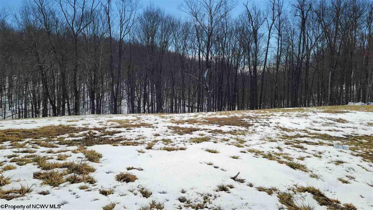 Property Photo:  Lot 17 Farm Brook Lane  WV 26505 