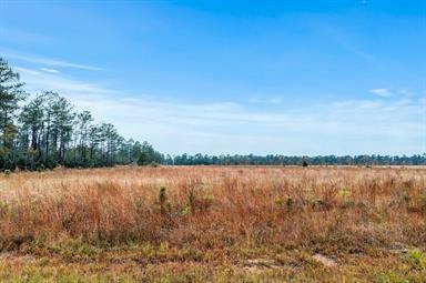 Property Photo:  Alcock Lot 9 Road  LA 70652 