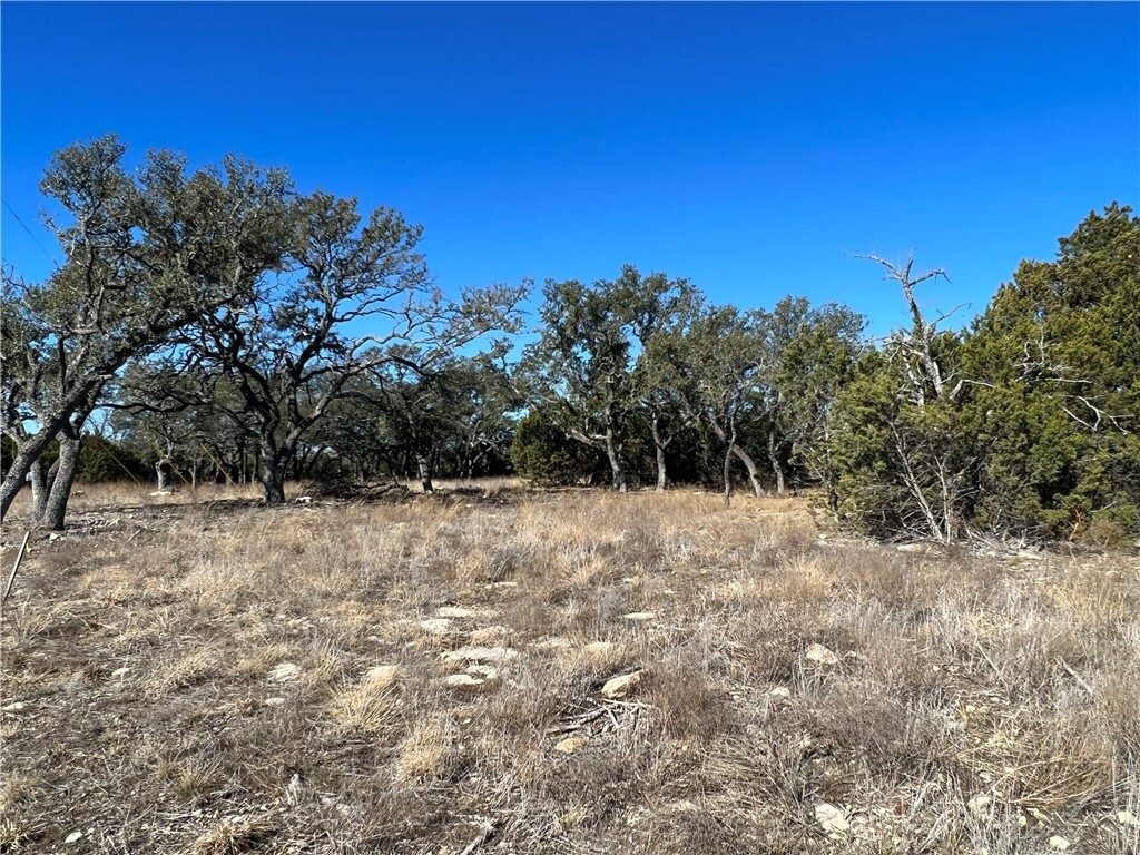 Property Photo:  3290 Private Road 42111  TX 76525 