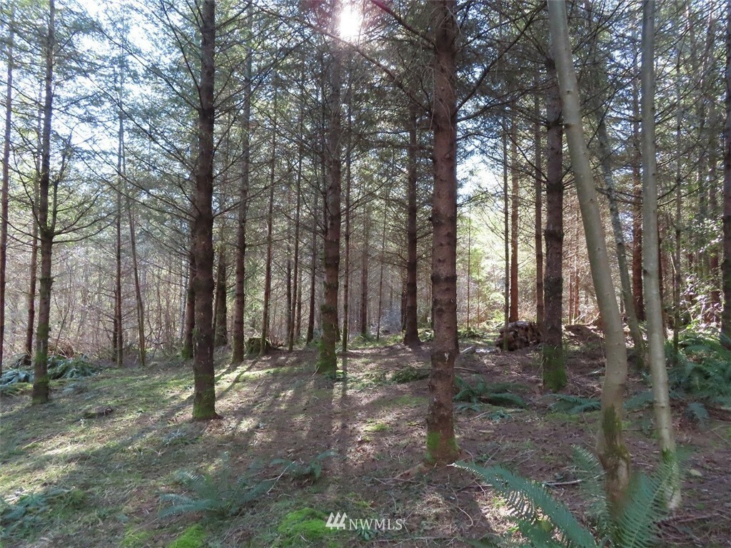 Property Photo: 0 Xxx Maki Road WA 98674