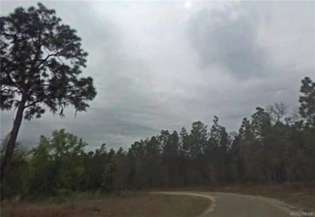 Property Photo: 7452 N Sugarberry Drive FL 34434