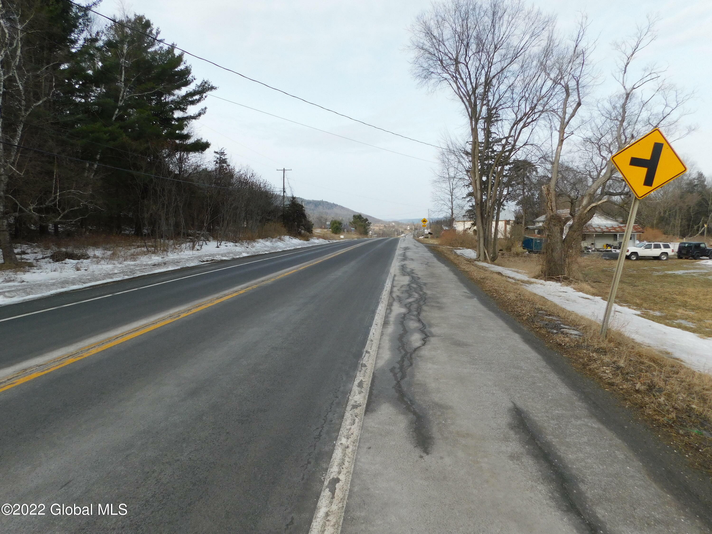 Property Photo:  L23 State Route 145  NY 12043 