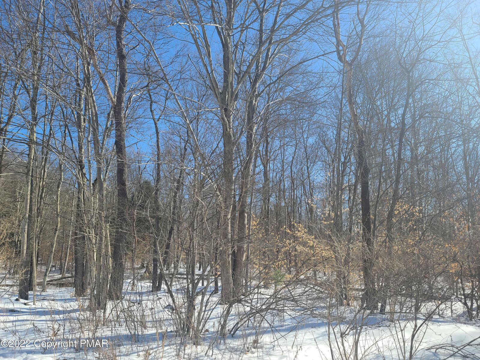 Property Photo: 5 Pvt/ Samantha Road PA 18347