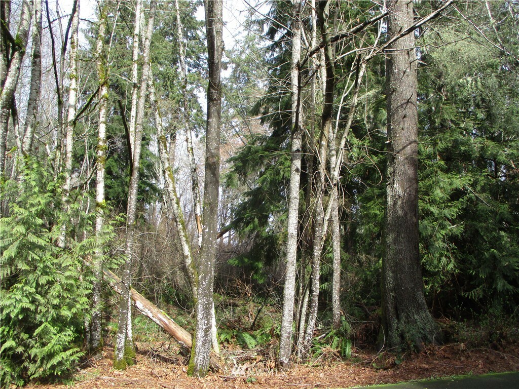 Property Photo:  1 Lot B Maplewood Court 1748  WA 98528 