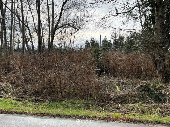 Property Photo: 0 Admirals Drive WA 98239