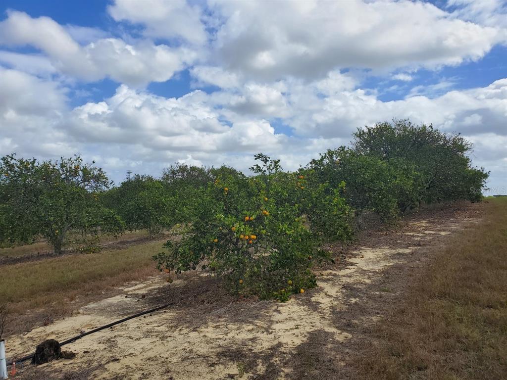 Property Photo: Waverly Road FL 33827