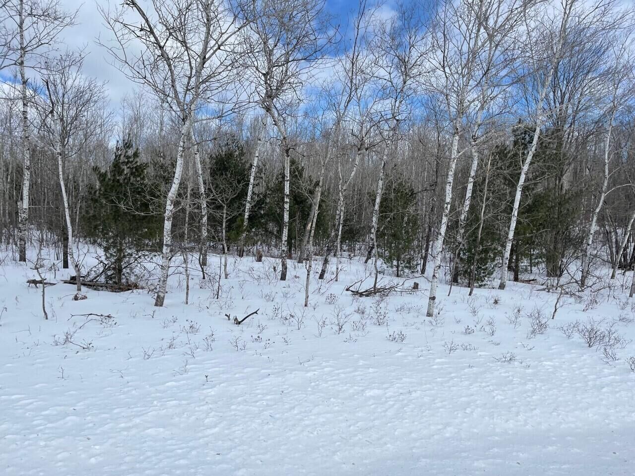 Property Photo: 1444 Old State Road MI 49735