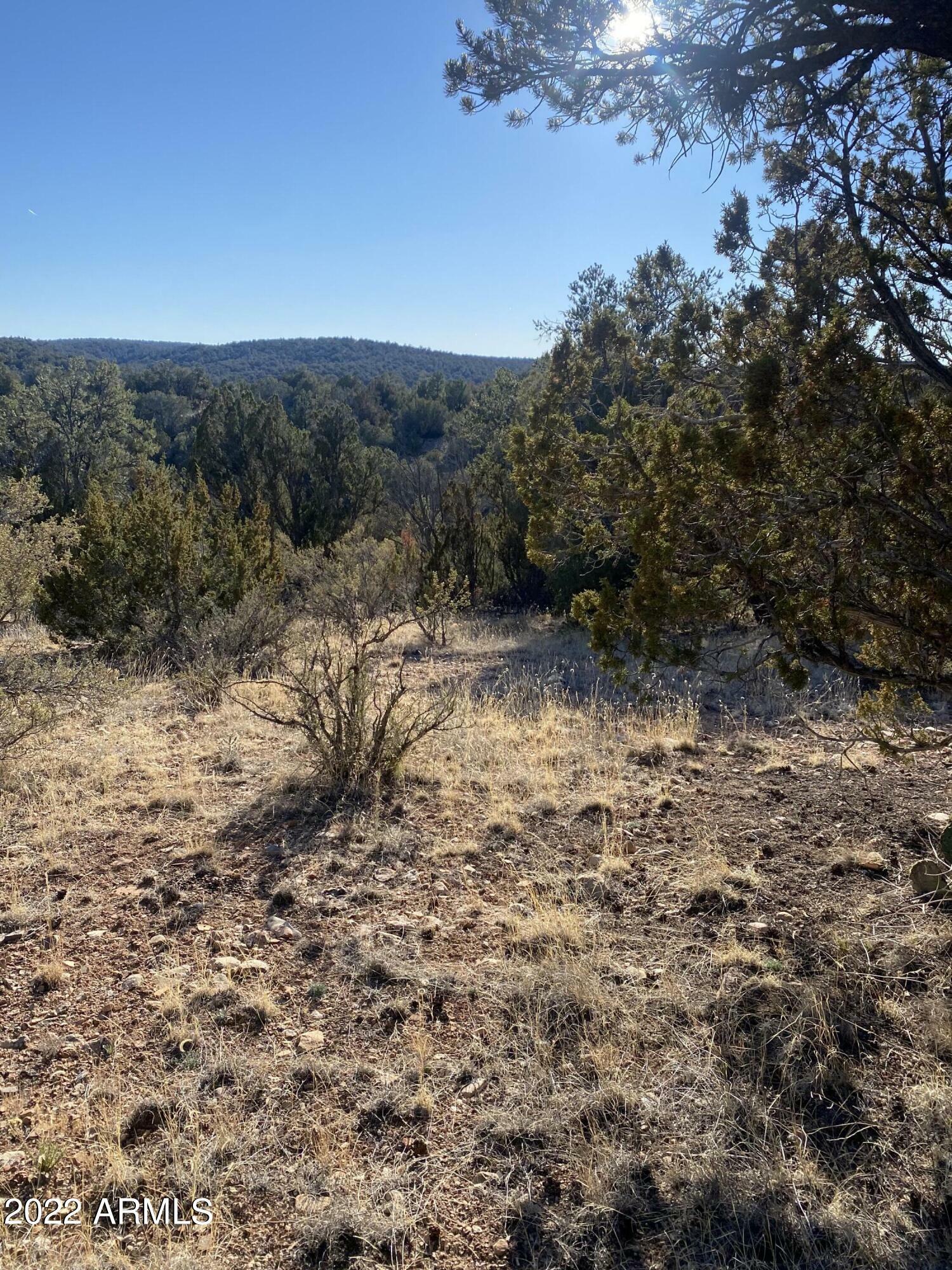 Property Photo:  51824 N Cordero Road 3384  AZ 86337 