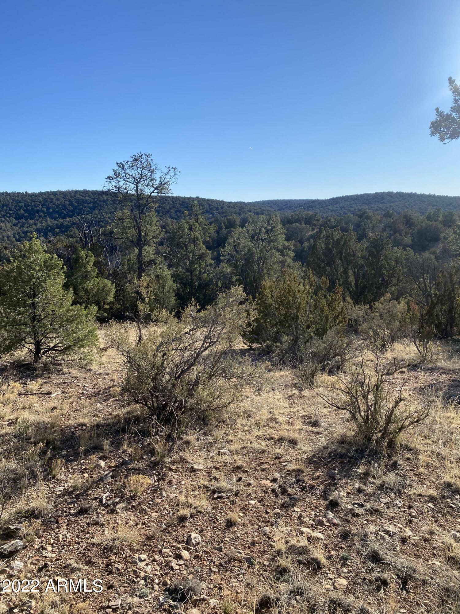 Property Photo:  51804 N Cordero Road 3385  AZ 86337 