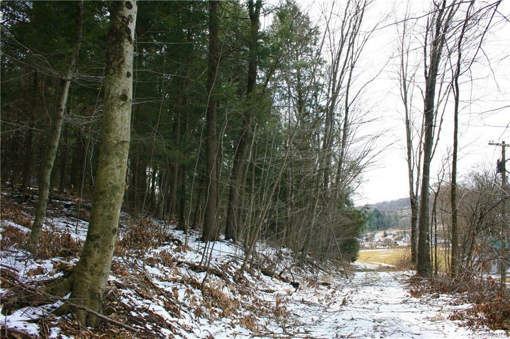 Property Photo:  Callicoon Center Road  NY 12748 