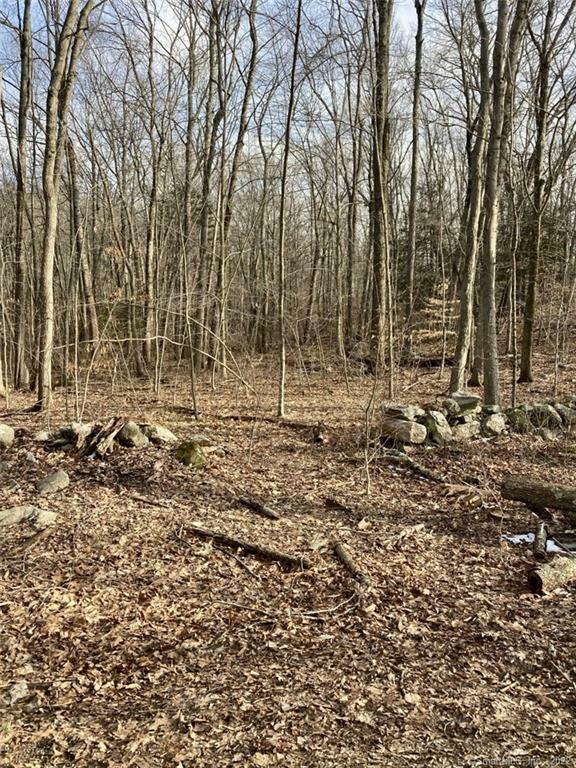 Lot 092 Alger Road  East Haddam CT 06423 photo