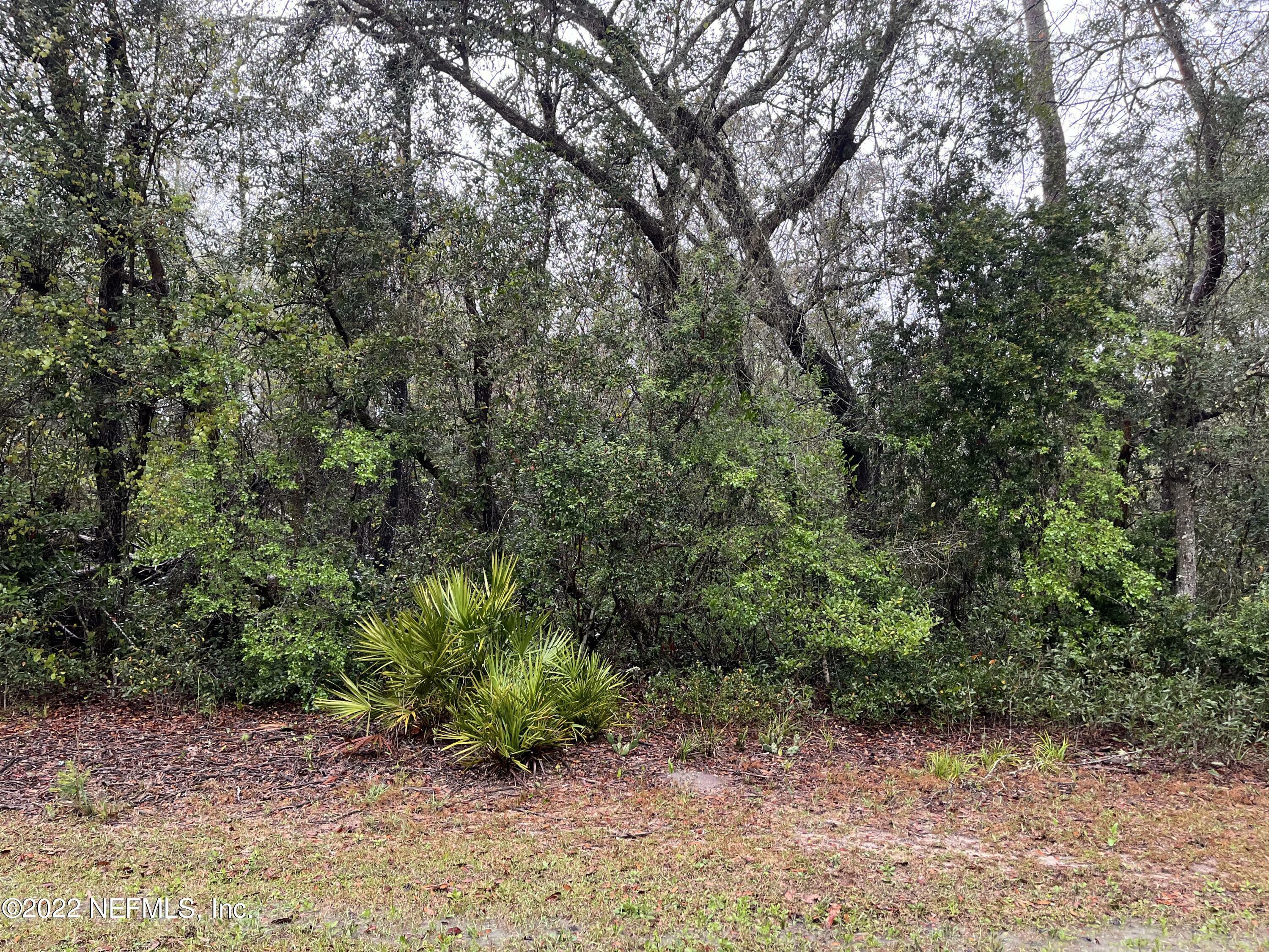 Property Photo:  307 N Oak Avenue  FL 32140 