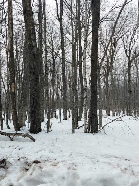 Property Photo:  Lot #60 Moccasin Way  WI 54817 