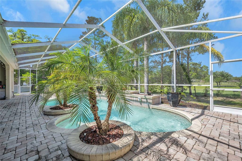 Property Photo:  2931 Shipston Avenue  FL 34655 