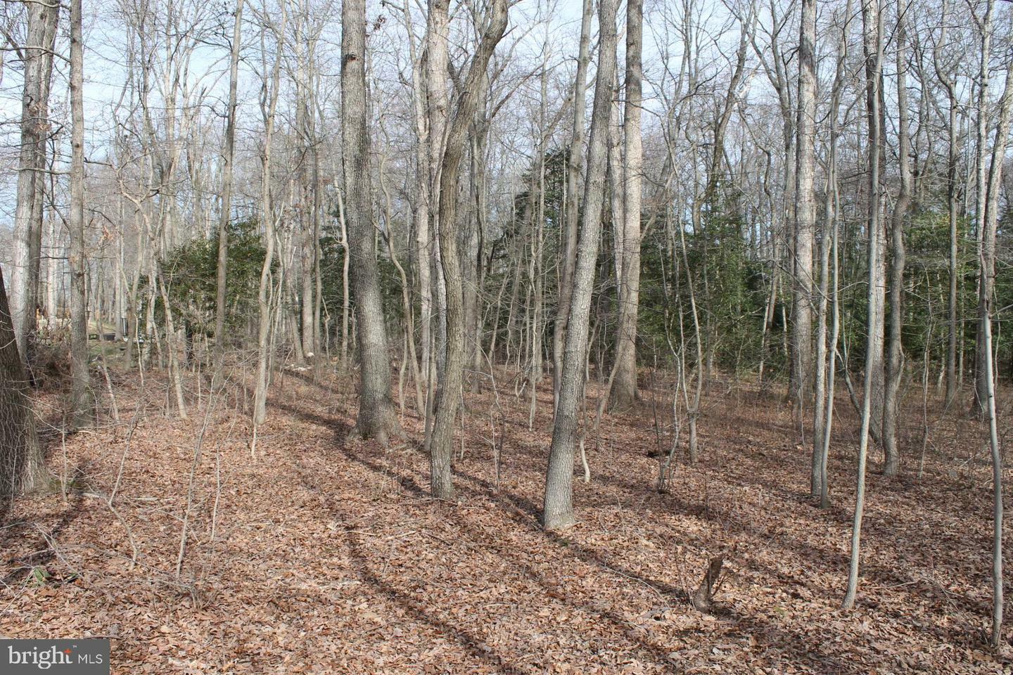 Property Photo: Lot 17 Morgans Choice Road DE 19934