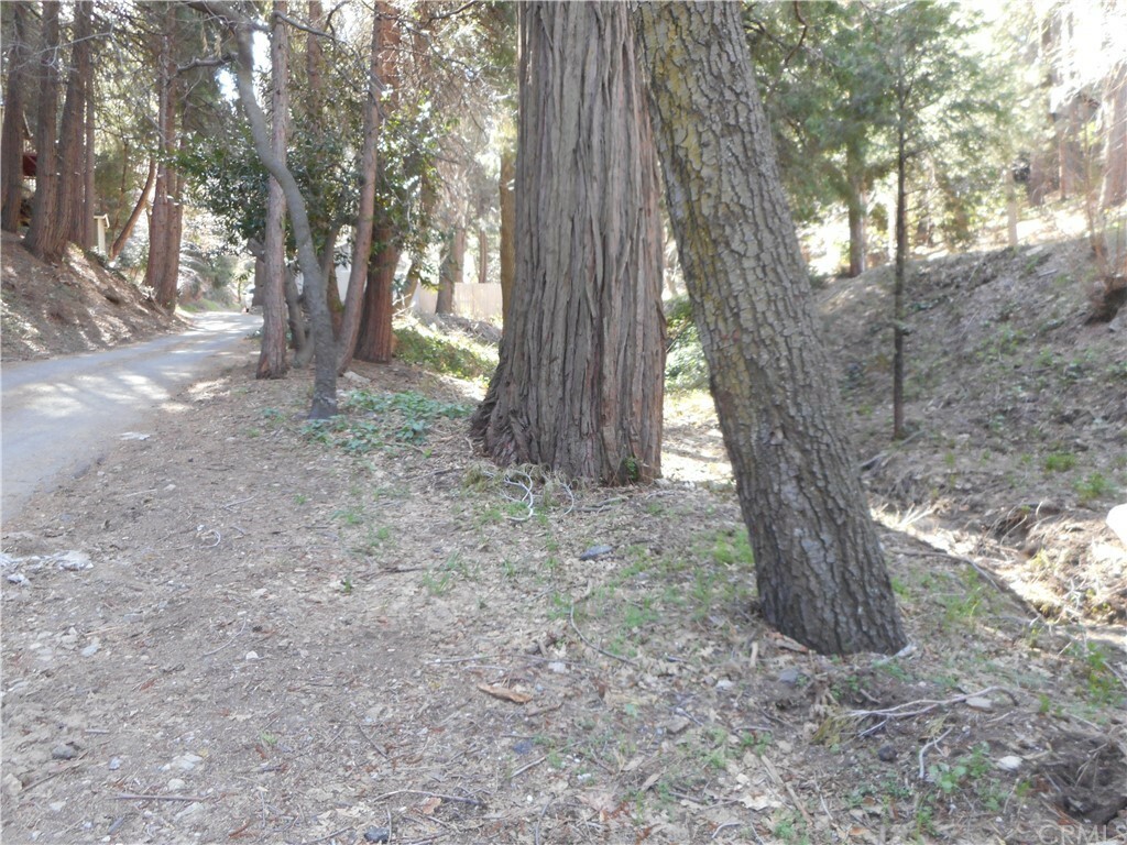 Property Photo:  0 Cypress Lane  CA 92325 