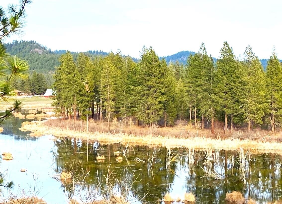 Property Photo: 44xx Cemetery Rd WA 99173