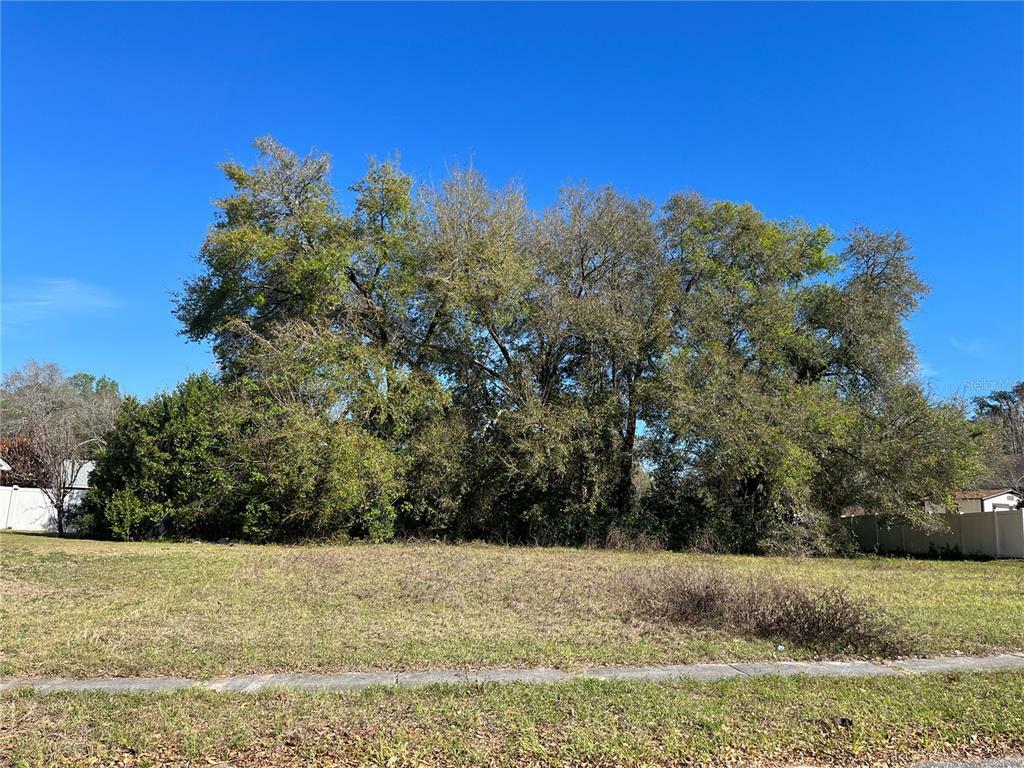 Property Photo:  Sail Fish Avenue  FL 34731 