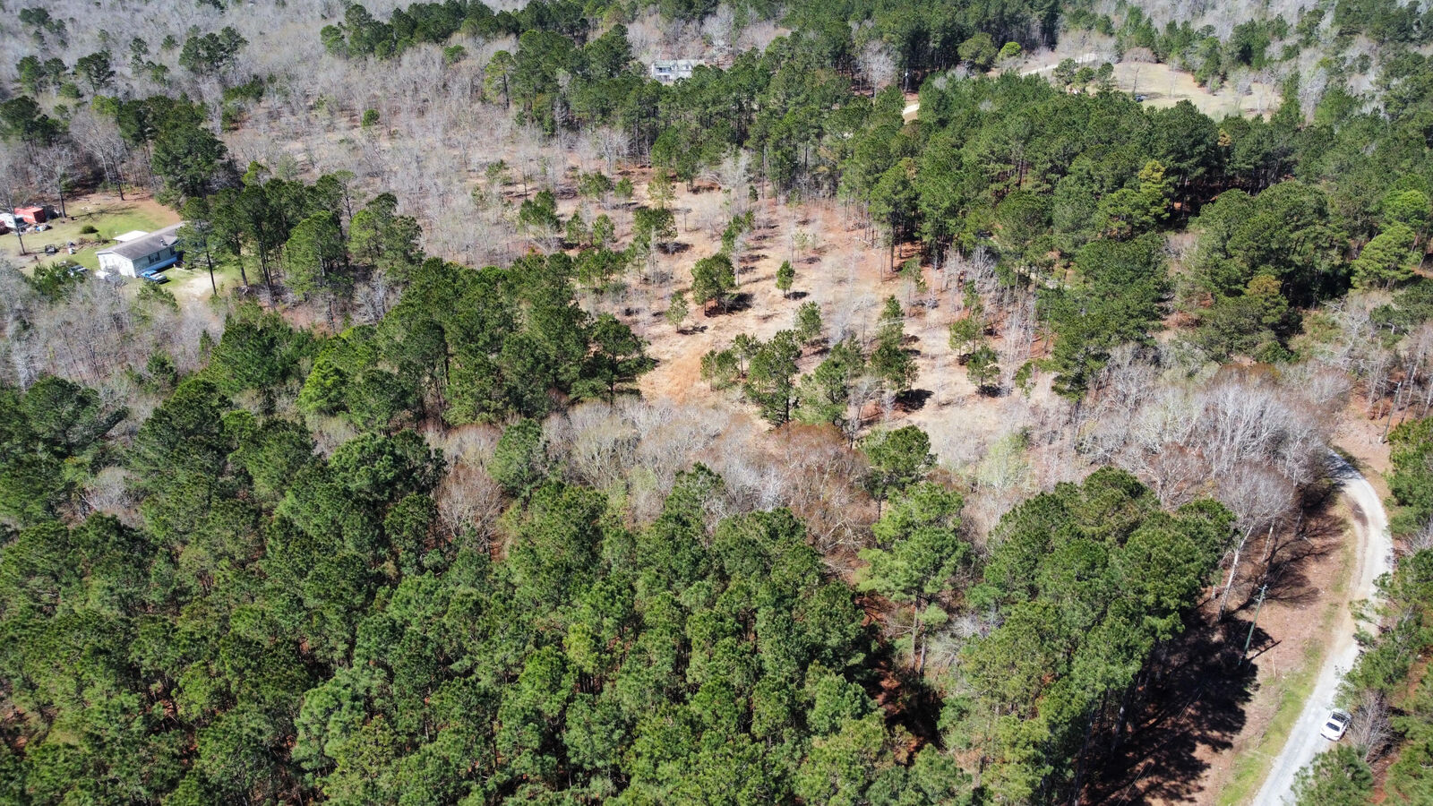 Property Photo:  160 Wisteria Falls Trail  SC 29479 