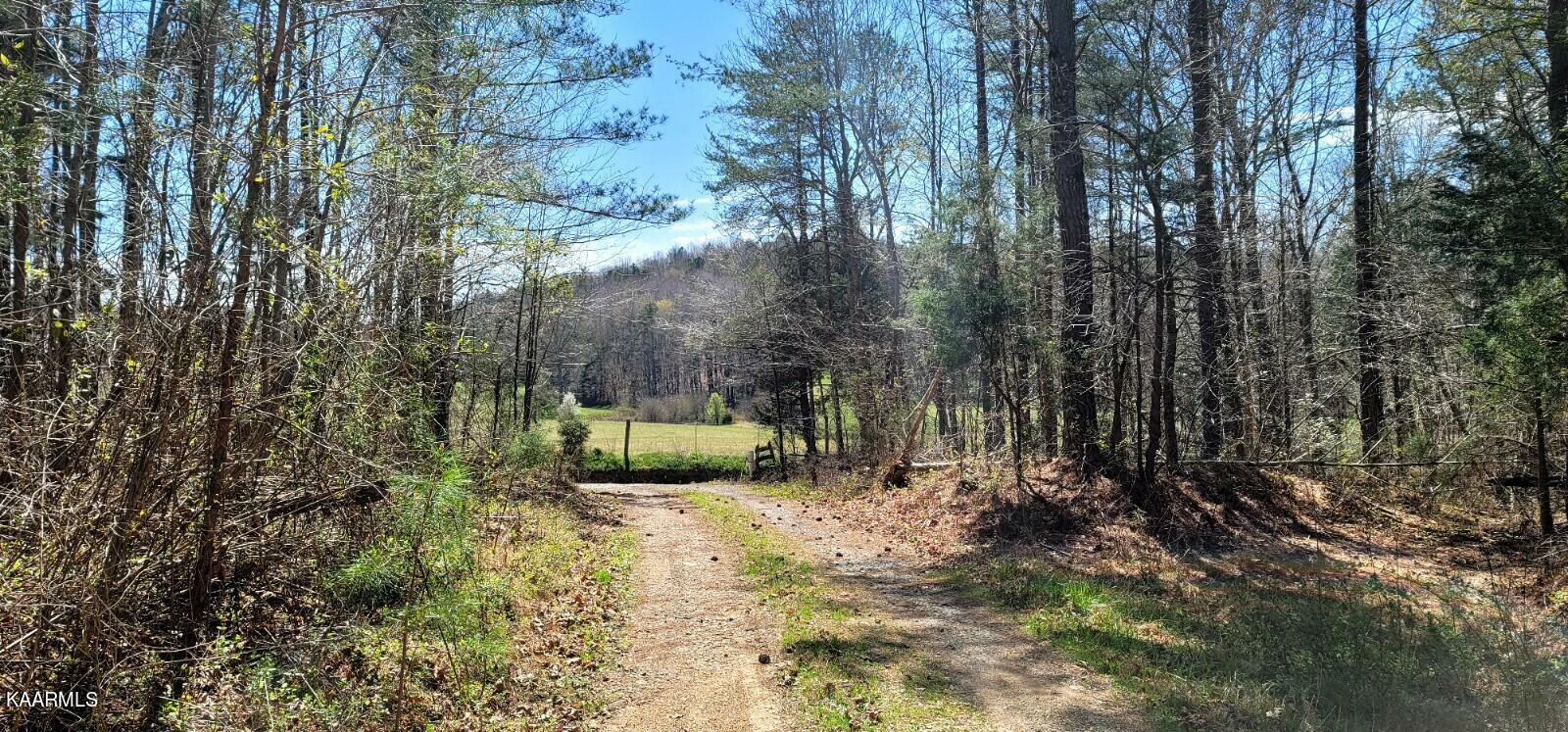 Property Photo: 2351 Wasson Rd TN 37880