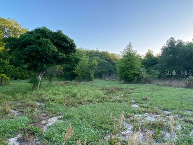 Property Photo:  Lake Nellie Road  FL 34714 