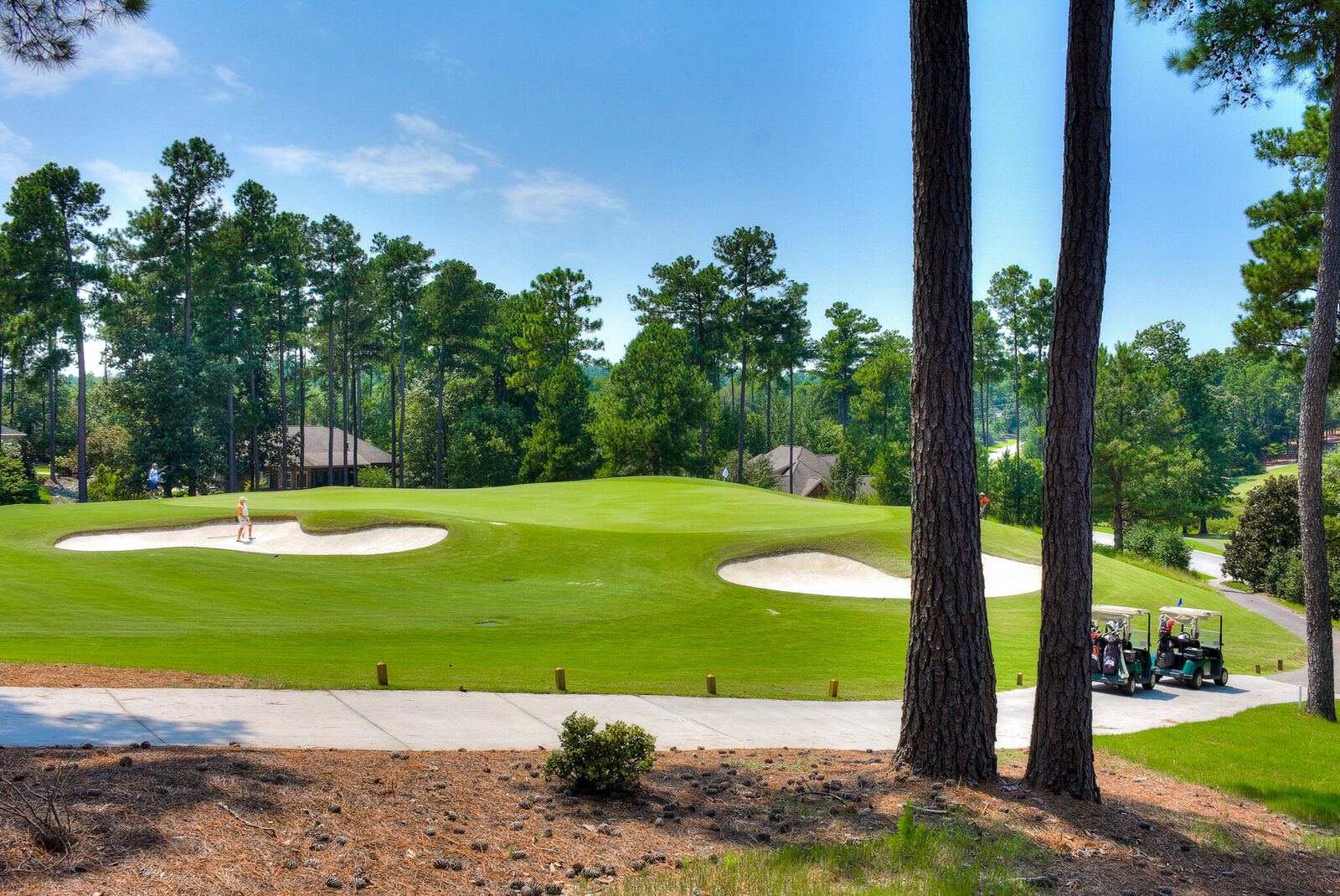 Property Photo:  271 Waverly Lane  SC 29803 