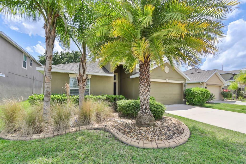 Property Photo:  10711 River Hawk Lane  FL 33569 