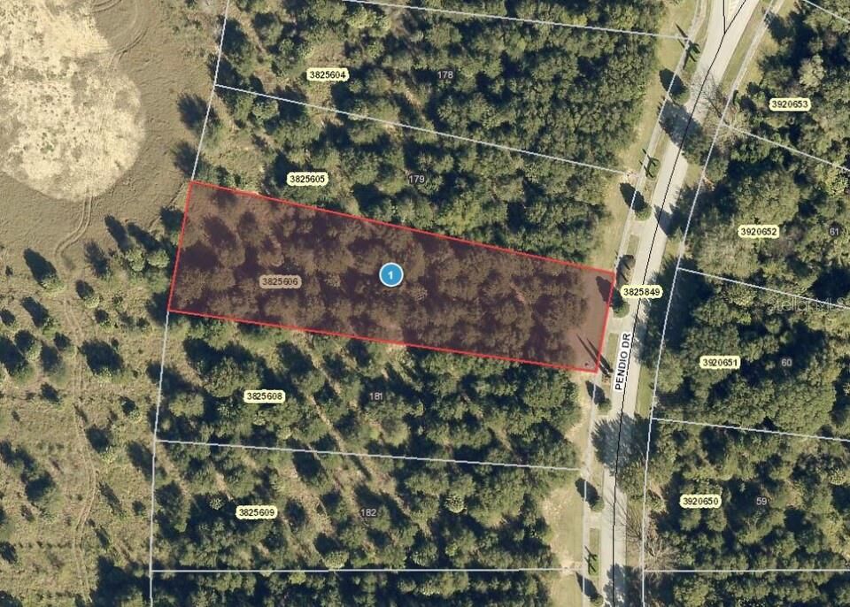 Property Photo:  15750 Pendio Drive  FL 34756 