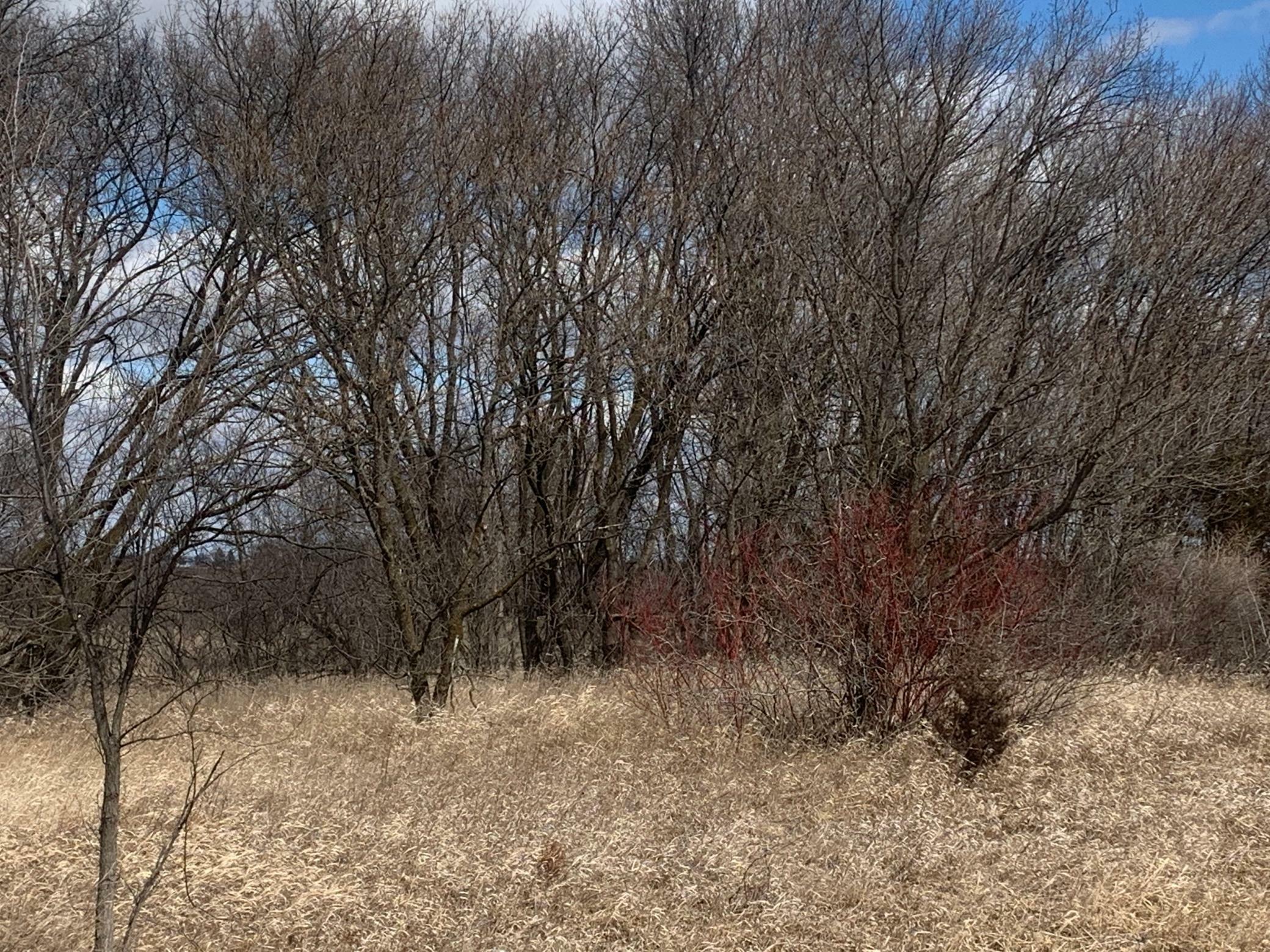 Property Photo:  Xxx 717th Avenue  MN 55353 