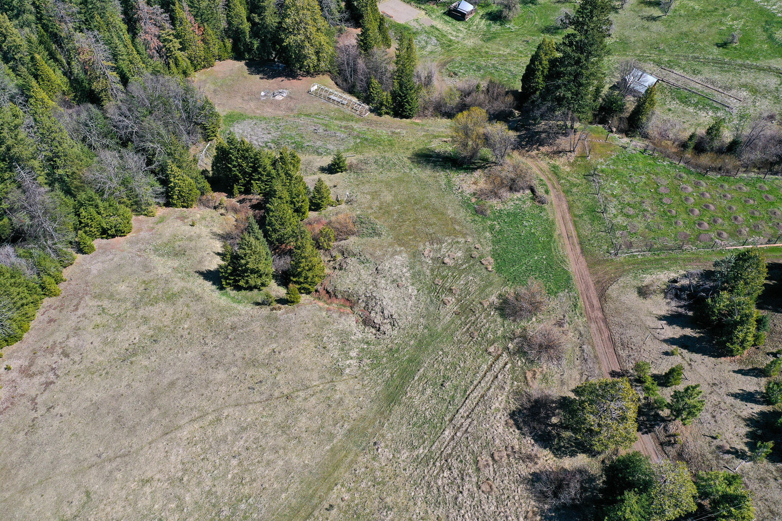 Property Photo:  1075 Baldy Creek Road  OR 97520 