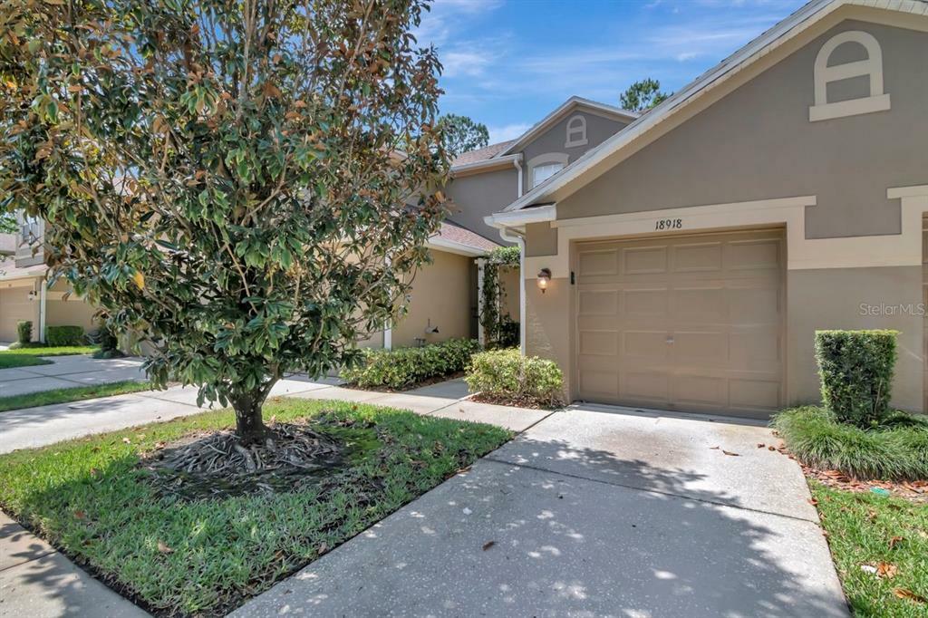 Property Photo:  18918 Duquesne Drive  FL 33647 