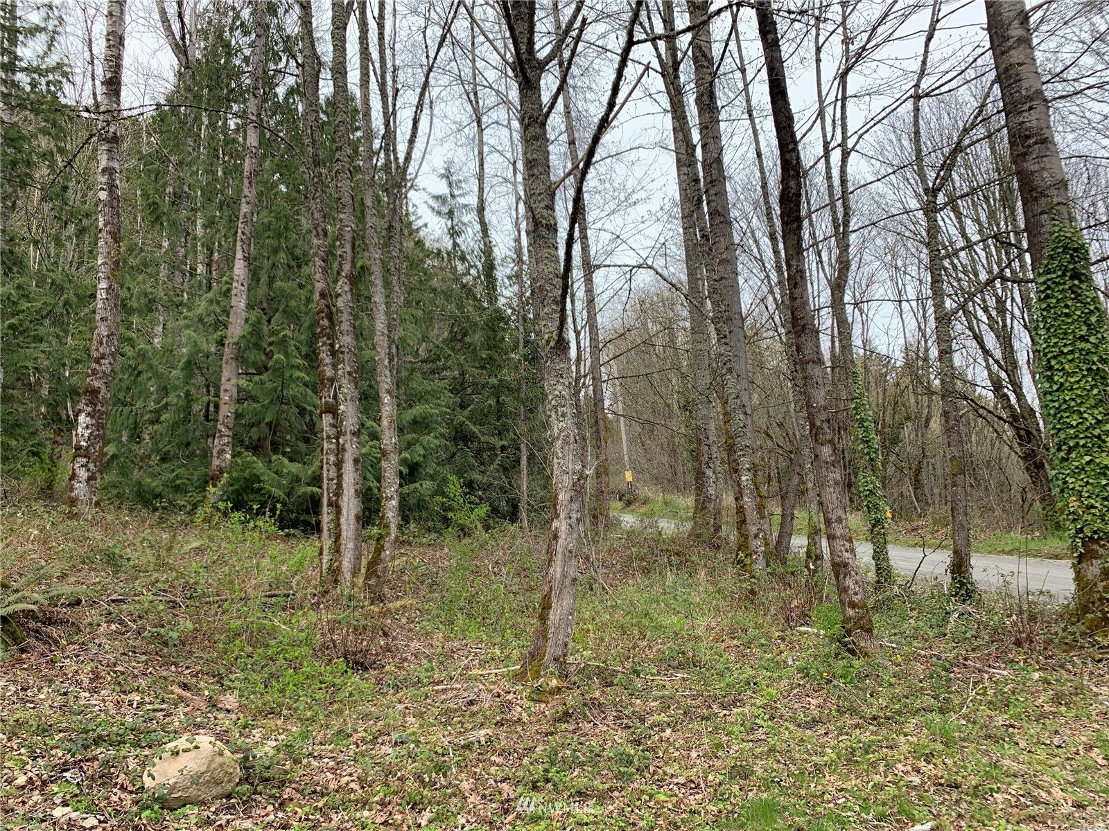 Property Photo: 7450 272nd Avenue SE WA 98027