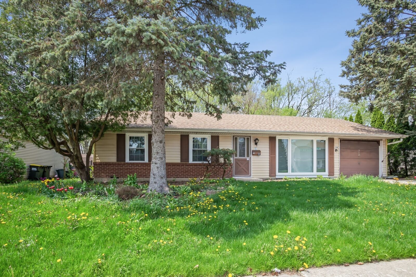 Property Photo:  710 Springfield Drive  IL 60172 