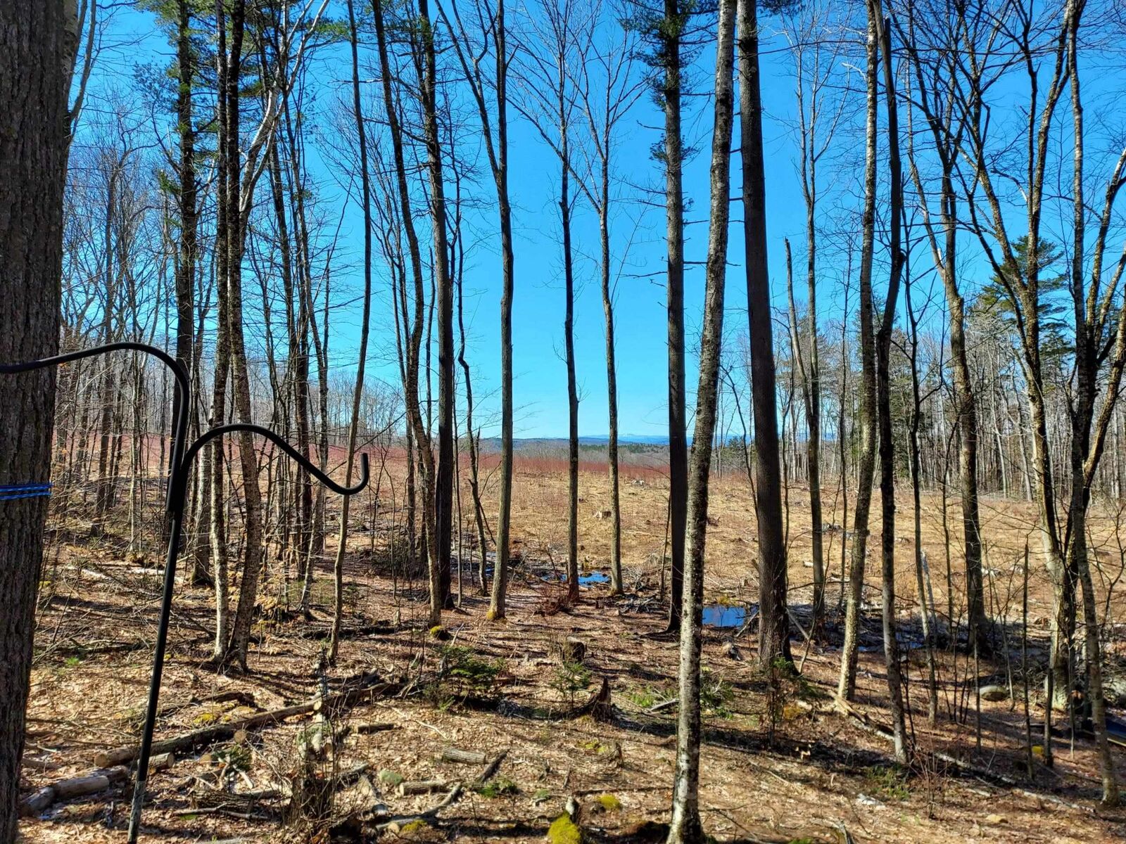 Property Photo:  00 Potato Hill Road  NH 03603 