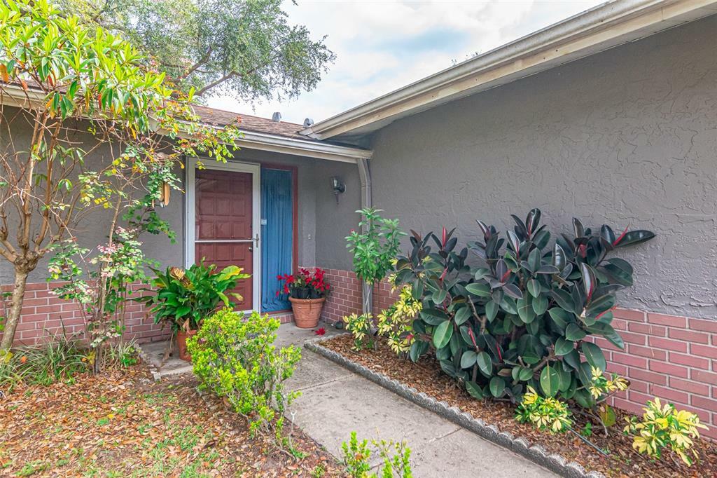 Property Photo:  1200 Markley Drive  FL 33770 