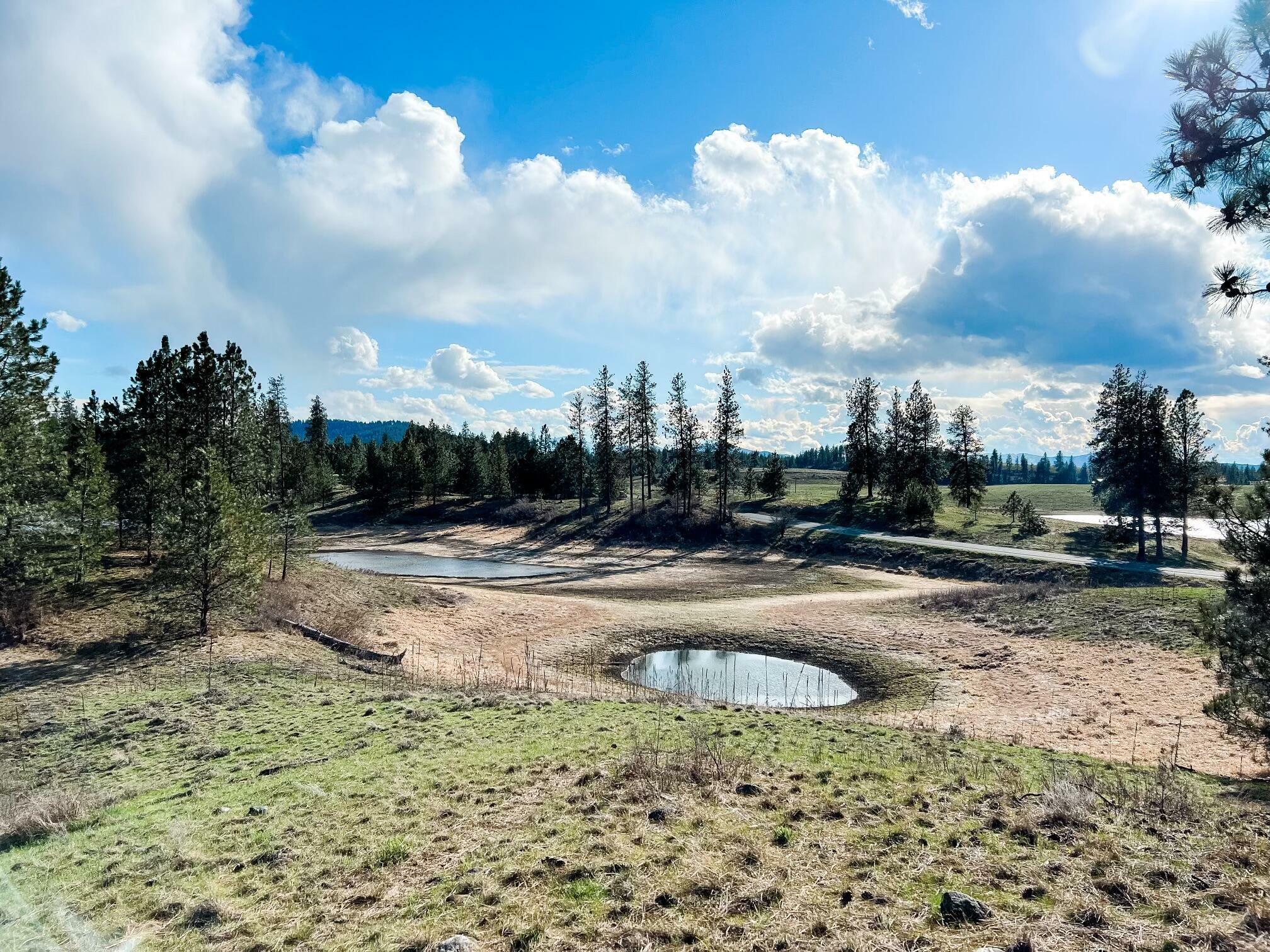 Property Photo:  6xx Lot 2 Artman-Gibson Rd  WA 99114 