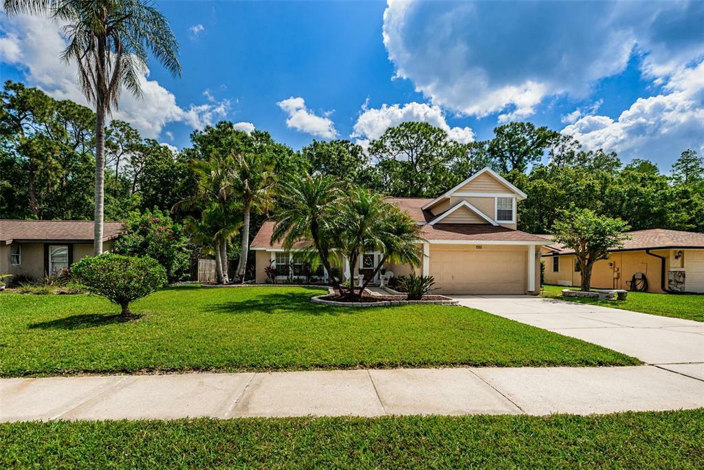 Property Photo:  709 Jacaranda Drive  FL 34677 