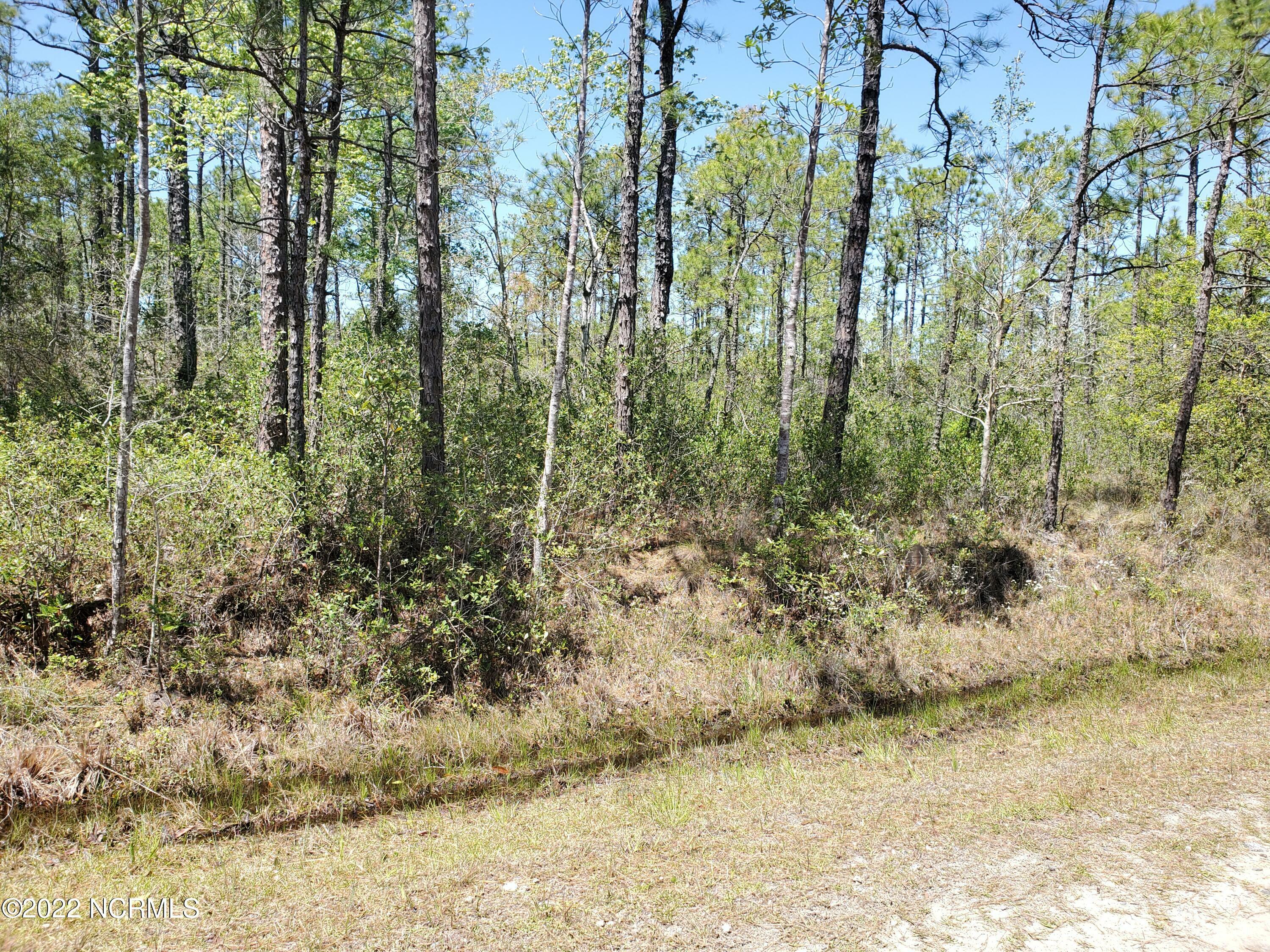 Property Photo:  L-54 Mallard Road  NC 28461 