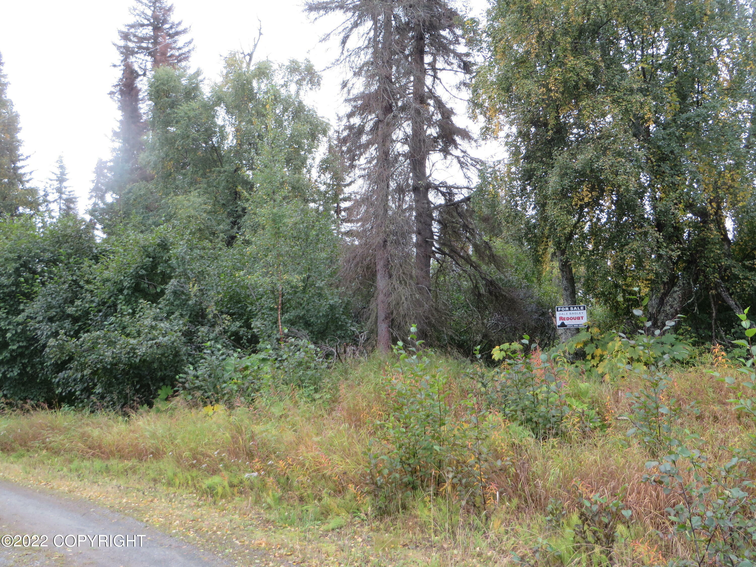 Property Photo:  28030 Spruce Park Circle  AK 99610 