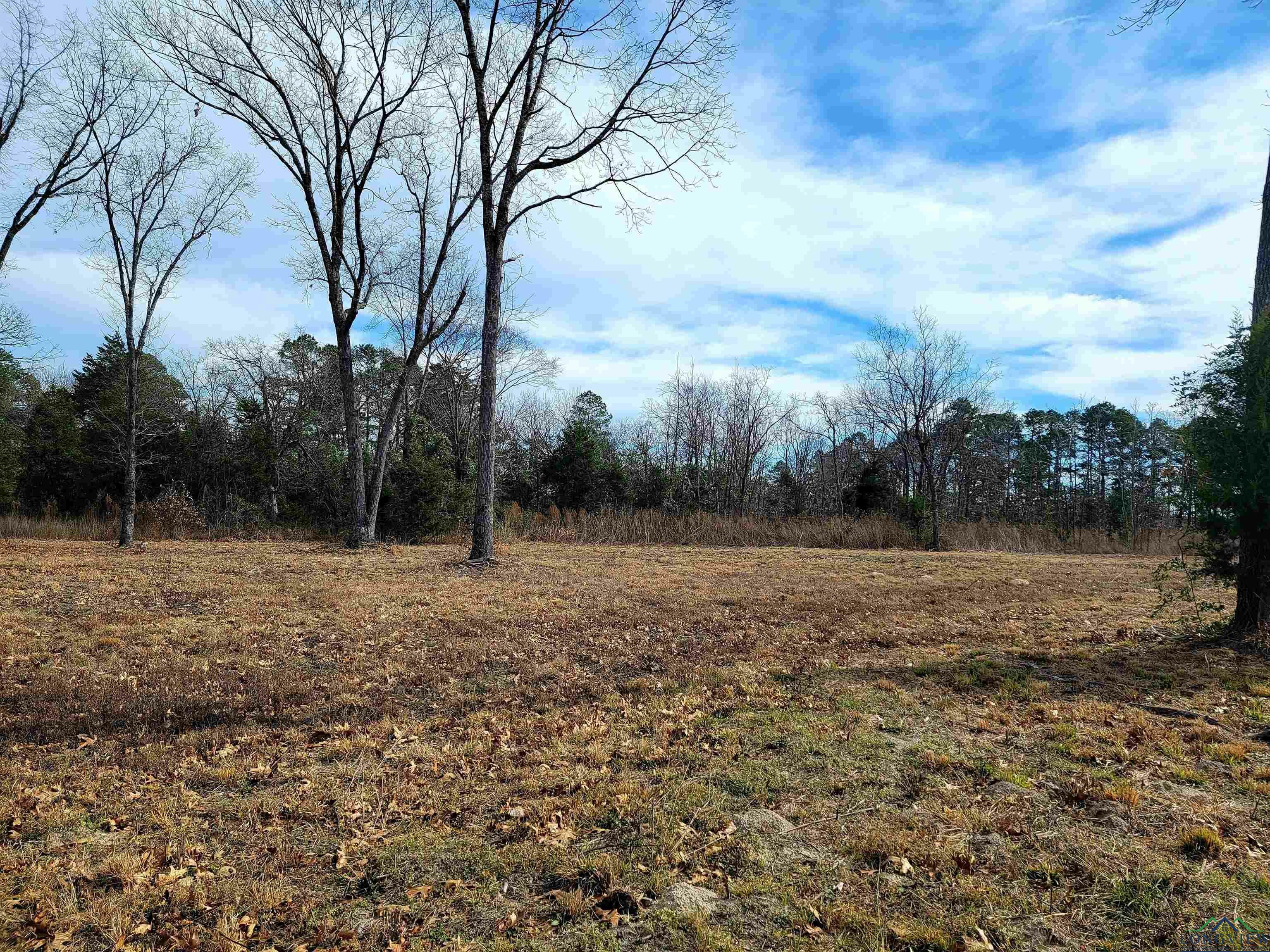 Property Photo:  208/248 Angus  TX 75755 