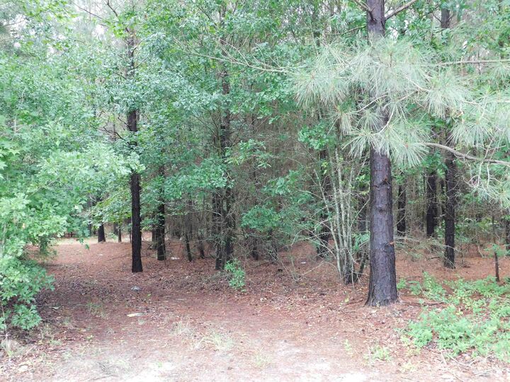 Property Photo:  Tbd Groundhog  TX 75644 