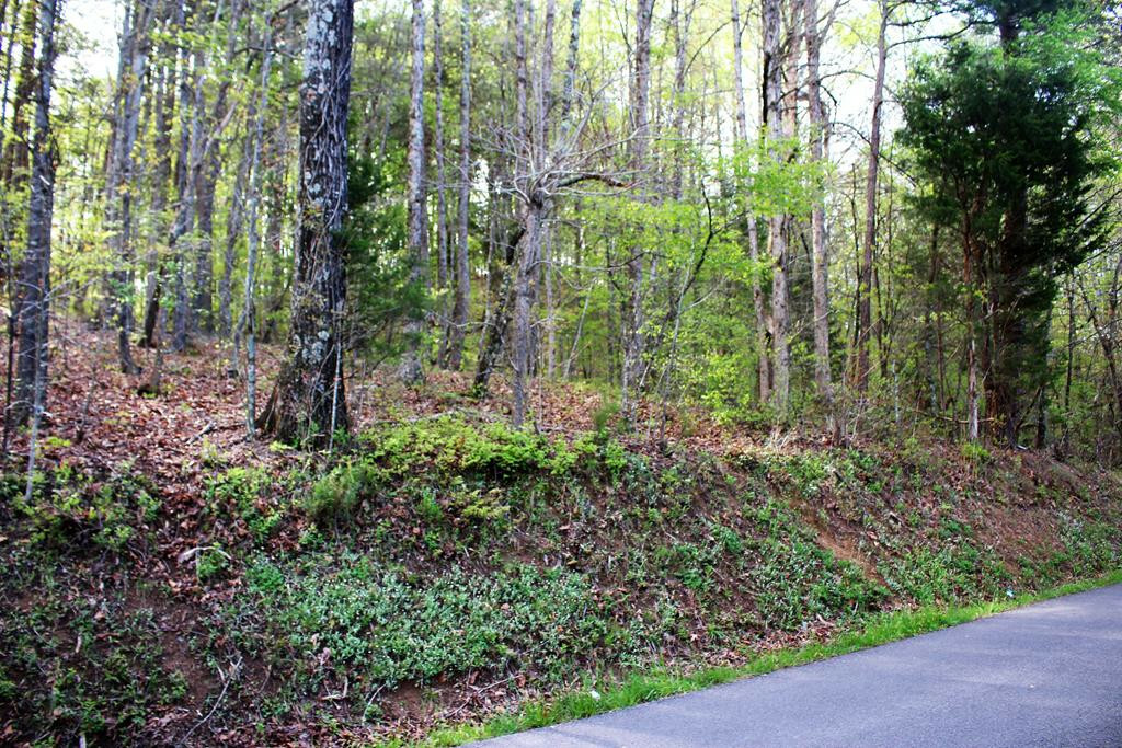 Property Photo:  Lot 8 Rabbit Valley Road NW  TN 37312 